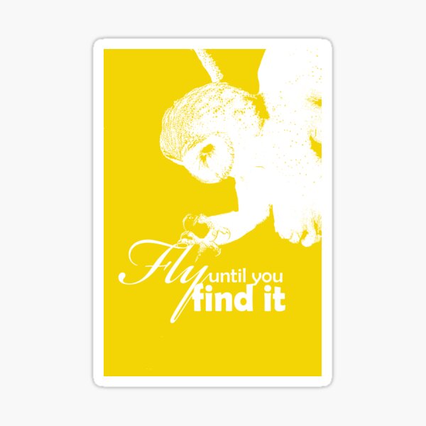 Fly Until You Find It Sticker