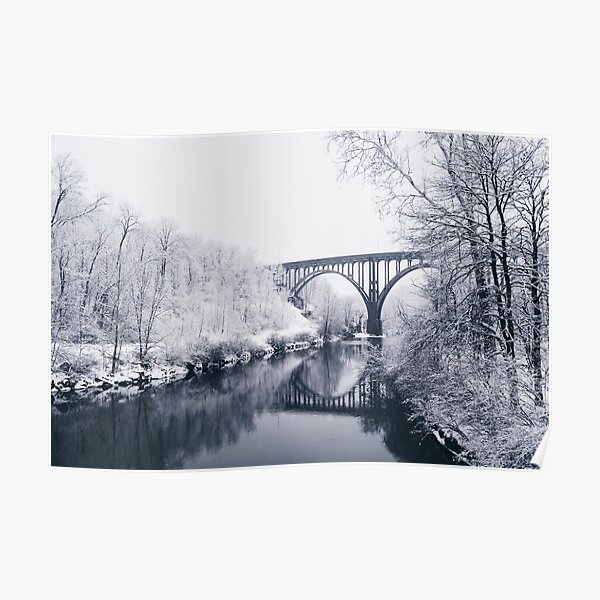 Snow Covered Trees Poster