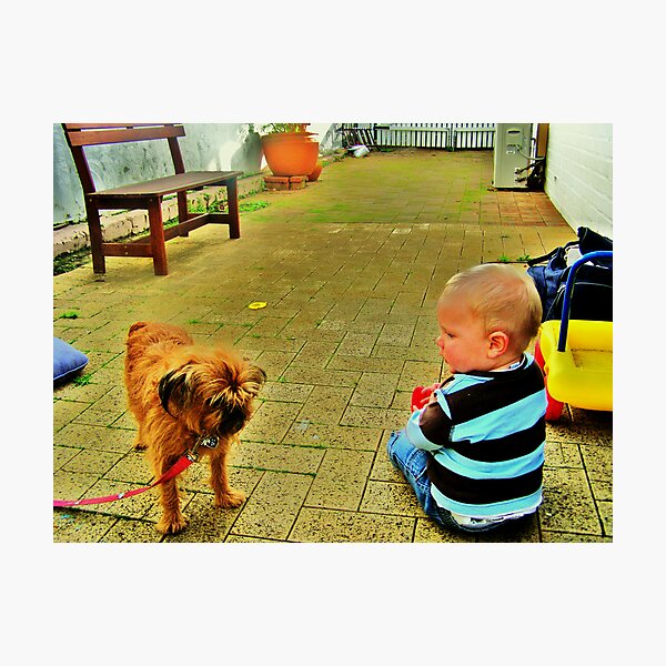 Shall We Dance Photographic Print
