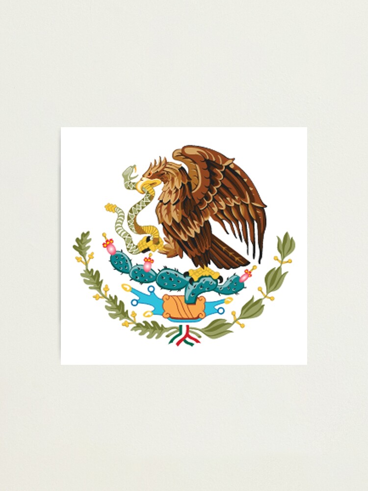 Mexiko Mexikaner Eagle Symbol Mexikanische Flagge Flagge Von Mexiko Bandera De Mexico Schlicht Und Einfach Fotodruck Von Tomsredbubble Redbubble