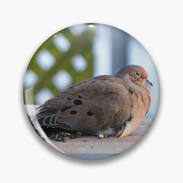 Item preview, Sleepy Dove Enjoying Sunflower Seeds designed and sold by BackyardBirder.