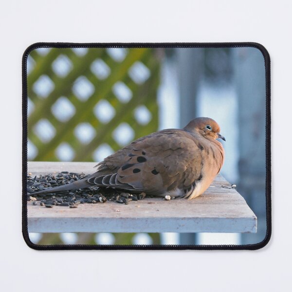 Item preview, Sleepy Dove Enjoying Sunflower Seeds designed and sold by BackyardBirder.