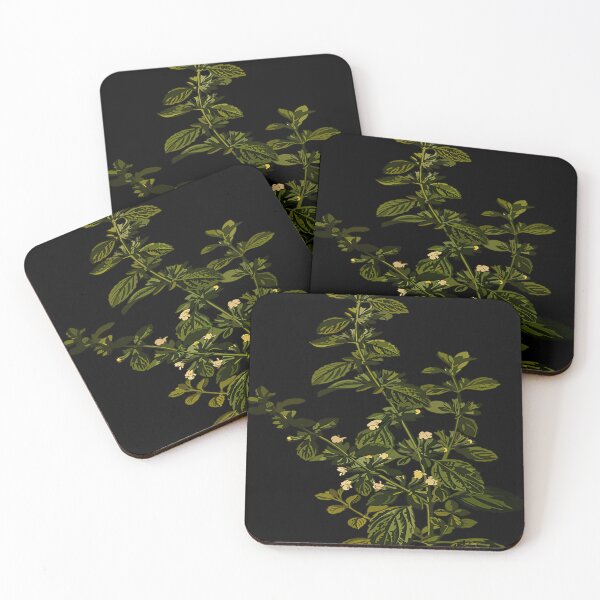Item preview, Lemon balm Tea Herb Carmelite Water Officinalis designed and sold by BETSYCAROL.
