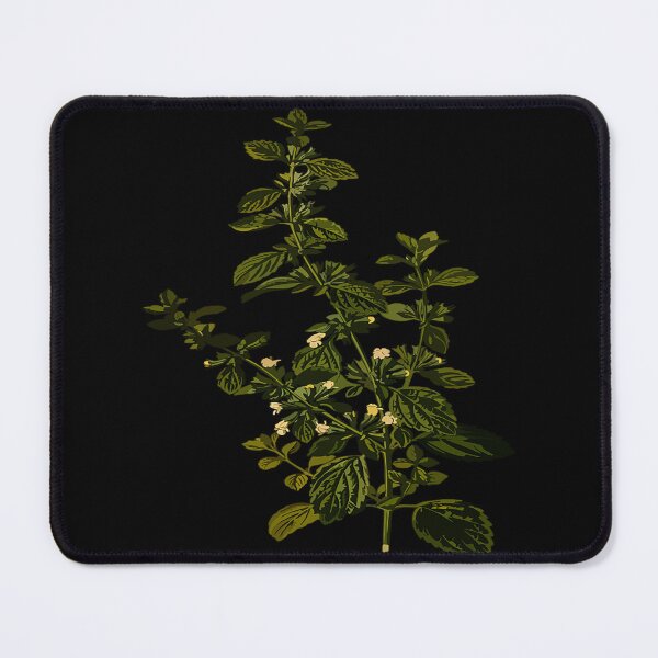 Item preview, Lemon balm Tea Herb Carmelite Water Officinalis designed and sold by BETSYCAROL.