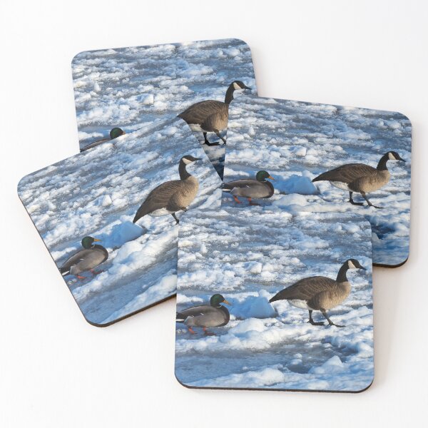 Item preview, Mallard Duck and Canada Goose Going For A Walk In The Snow - Wild Canada Goose Bird designed and sold by BackyardBirder.