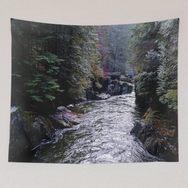 Item preview, Capilano River Regional Park: Silver Ravine designed and sold by Chancelrie.