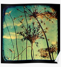 Head in the Clouds - TTV Poster