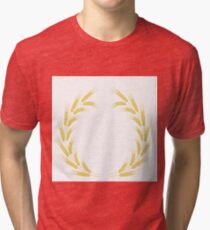 Wheat Frame Tri-blend T-Shirt