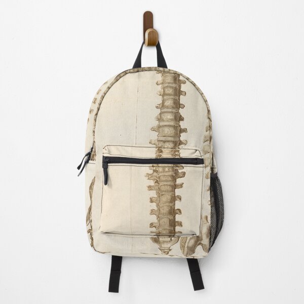 Item preview, Vintage medical posters of spinal cord | medical poster designed and sold by KARTICK DUTTA.