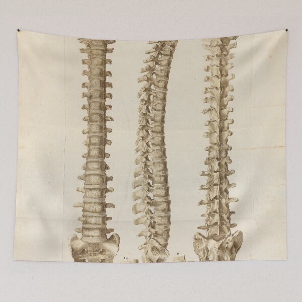 Item preview, Vintage medical posters of spinal cord | medical poster designed and sold by KARTICK DUTTA.