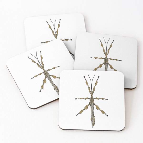 Item preview, Male Giant prickly stick insect Extatosoma tiaratum designed and sold by Artbychb.