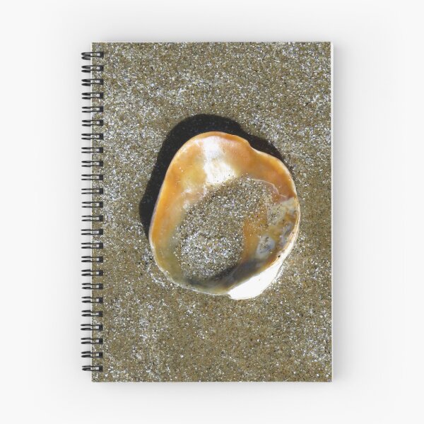 Item preview, shell designed and sold by KathleenDawson.