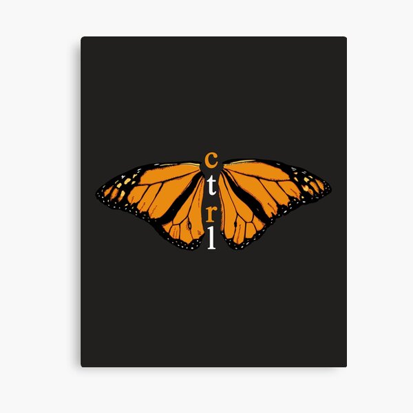 CTRL BUTTERFLY Canvas Print