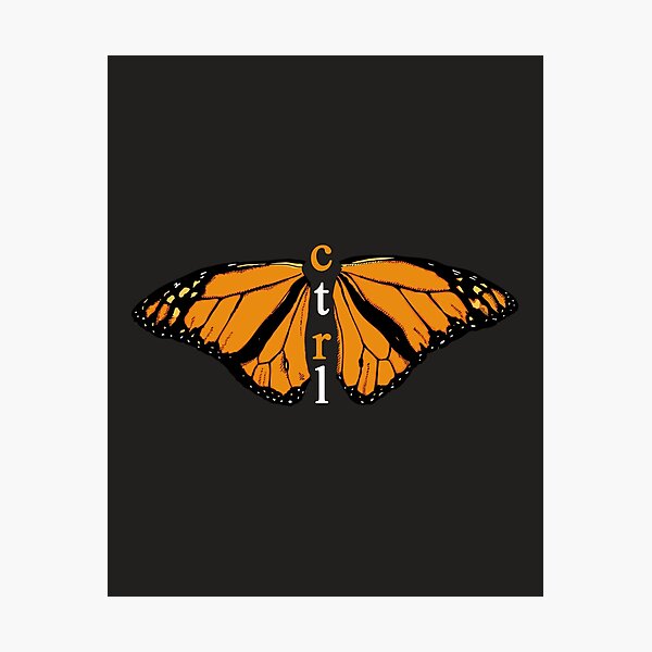 CTRL BUTTERFLY Photographic Print