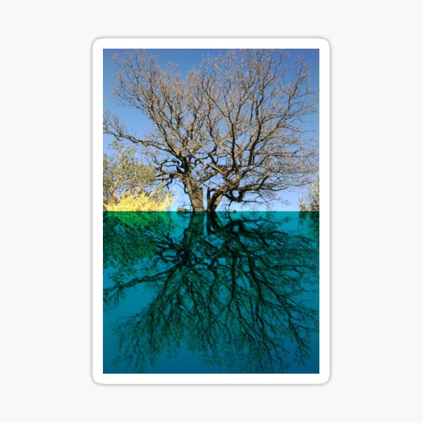 Dancers Tree Art Photo Sticker
