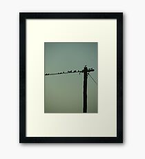 On a wire Framed Print