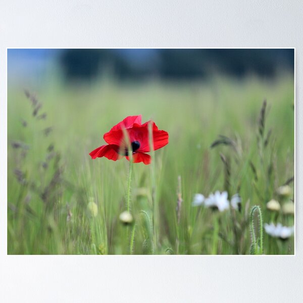 Item preview, My Favourite Flower designed and sold by ChocChipCookie.