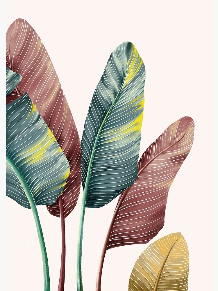 banana-leaves-wall-art-art-print-for-sale-by-cativewalls-redbubble
