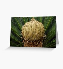 HEART OF CYCAD Greeting Card