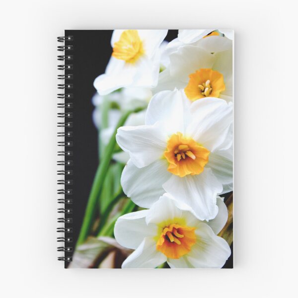 Item preview, Daffodils  designed and sold by couragesings.