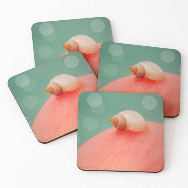 Item preview, Fingerprint Sized Seashell designed and sold by Nalinne Jones.