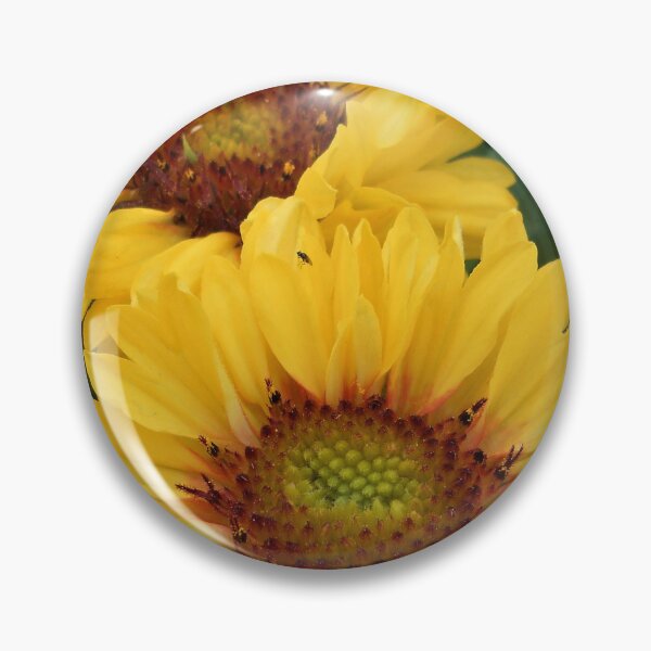 Item preview, Big yellow flowers of Gaillardia designed and sold by Floral-Art.