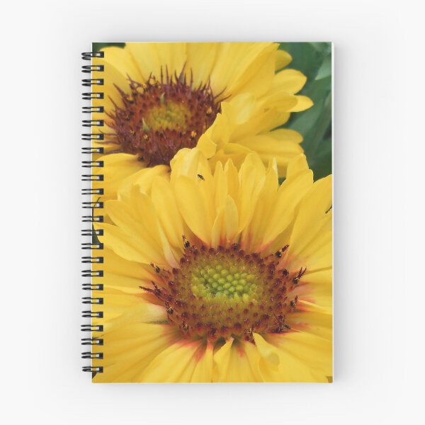 Item preview, Big yellow flowers of Gaillardia designed and sold by Floral-Art.