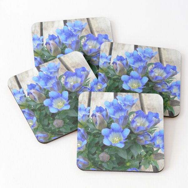 Artikelvorschau, Blaue Enzianblumen entworfen und verkauft von Floral-Art.