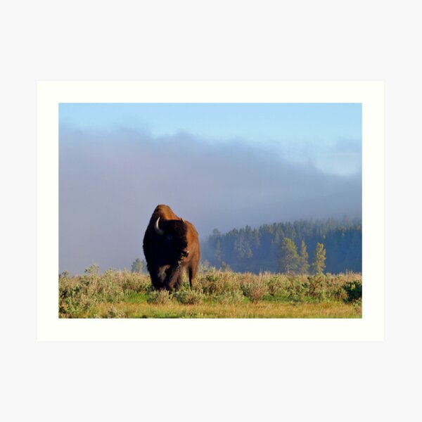 Face the Day Art Print