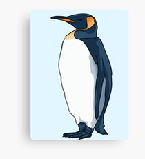 King Penguin Canvas Print