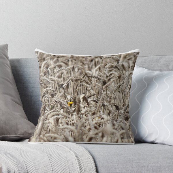 Item preview, grains growing (and swaying) in paddocks designed and sold by Gaylene Norton.