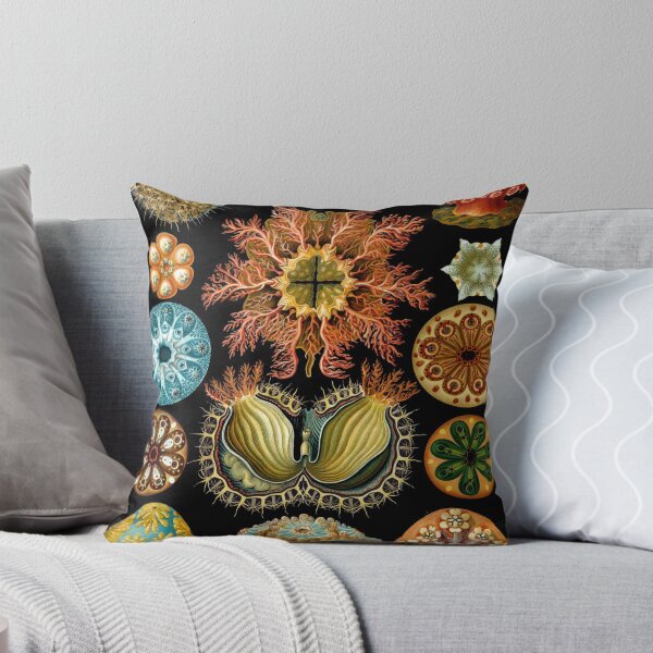 Item preview, Haeckel Ascidiae designed and sold by honeyblack.