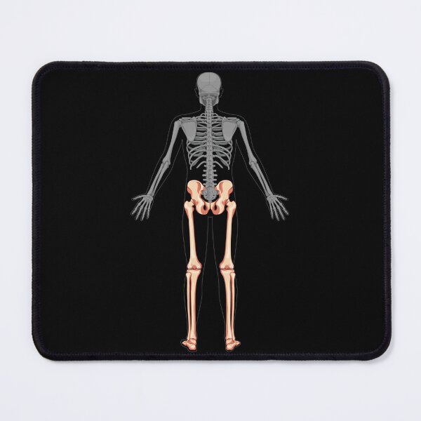 Item preview, Human Skeleton designed and sold by The Love Quill.