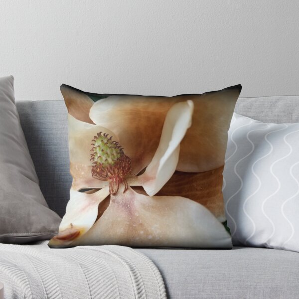 Item preview, photograph: huge flower of Southern Magnolia tree | full-color designed and sold by DigitalEurydice.