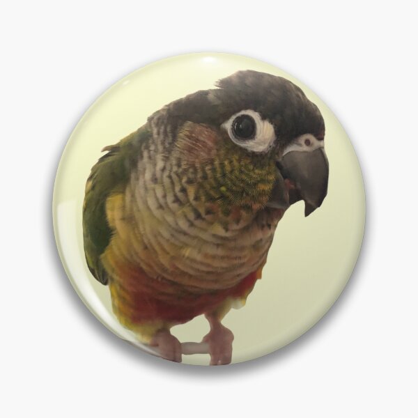 Item preview, Green Cheek Conure design | Conure | Small Parrot | Parakeet | Parrot lover designed and sold by TatianaLG.
