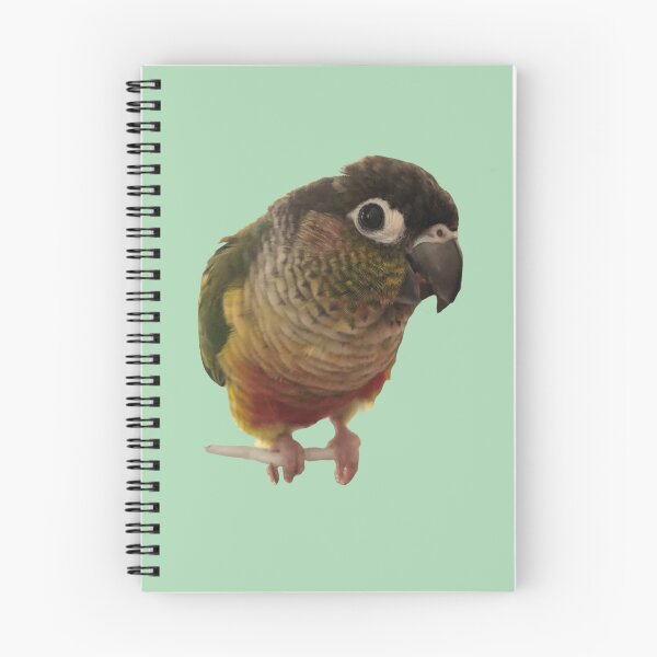Item preview, Green Cheek Conure design | Conure | Small Parrot | Parakeet | Parrot lover designed and sold by TatianaLG.