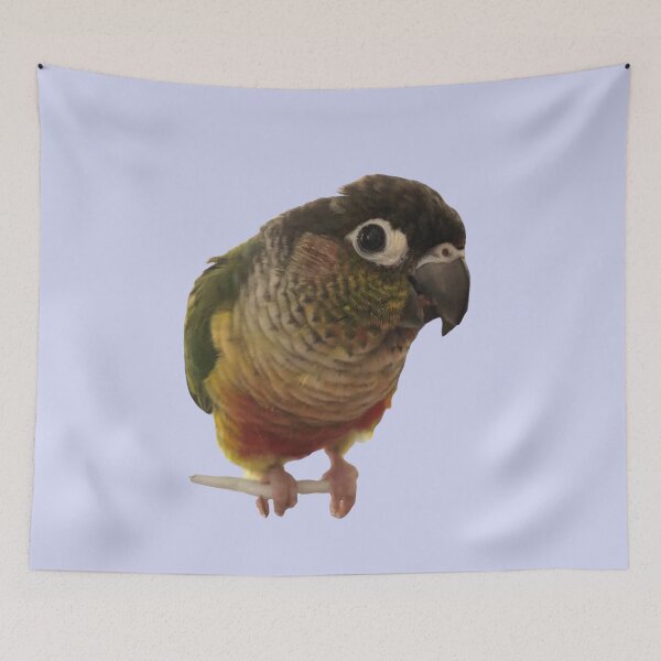 Item preview, Green Cheek Conure design | Conure | Small Parrot | Parakeet | Parrot lover designed and sold by TatianaLG.