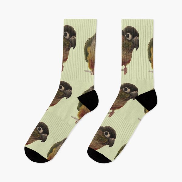 Item preview, Green Cheek Conure design | Conure | Small Parrot | Parakeet | Parrot lover designed and sold by TatianaLG.