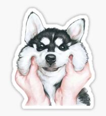 Husky Sticker