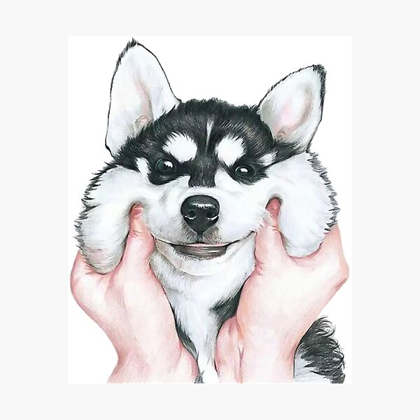 Husky Photographic Print