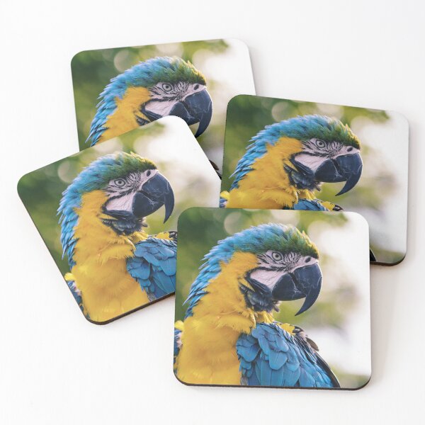 Item preview, Colorful Parrot designed and sold by anass002.