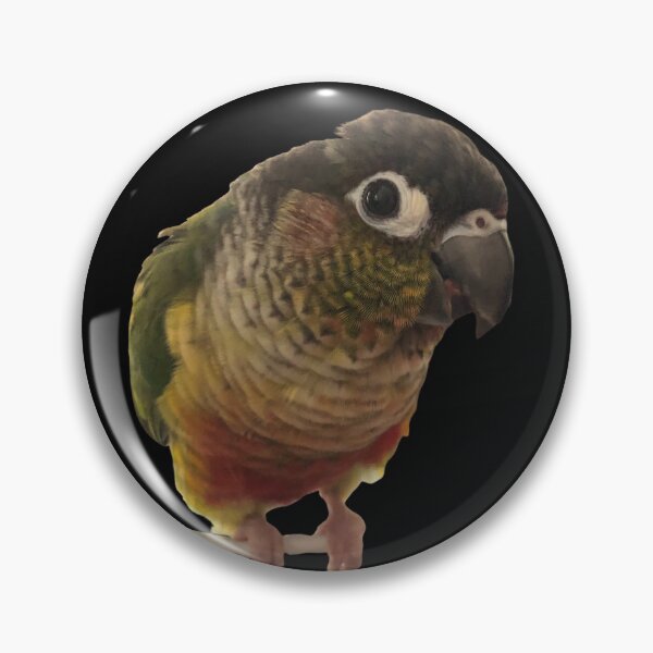 Item preview, Green Cheek Conure design | Conure | Small Parrot | Parakeet | Parrot lover designed and sold by TatianaLG.
