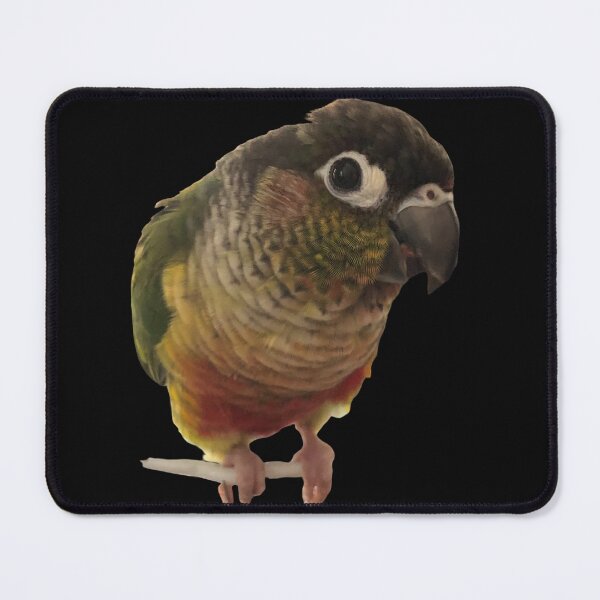 Item preview, Green Cheek Conure design | Conure | Small Parrot | Parakeet | Parrot lover designed and sold by TatianaLG.