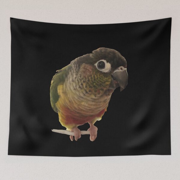 Item preview, Green Cheek Conure design | Conure | Small Parrot | Parakeet | Parrot lover designed and sold by TatianaLG.