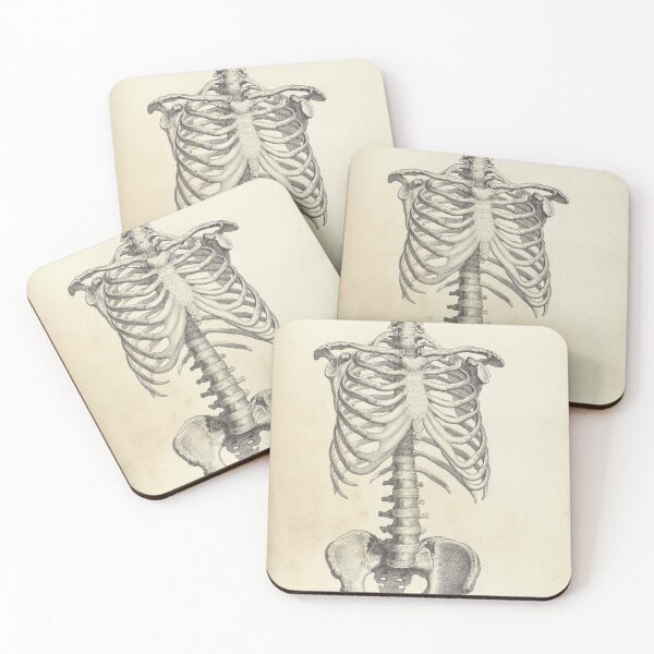 Item preview, human anatomy spinal cord and rib joint | Thoracic Vertebrae and the Rib Cage designed and sold by KARTICK DUTTA.