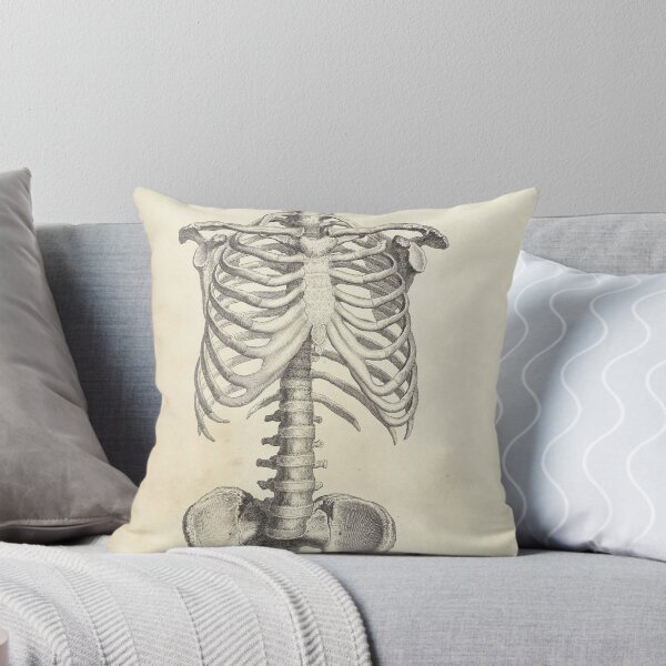 Item preview, human anatomy spinal cord and rib joint | Thoracic Vertebrae and the Rib Cage designed and sold by KARTICK DUTTA.