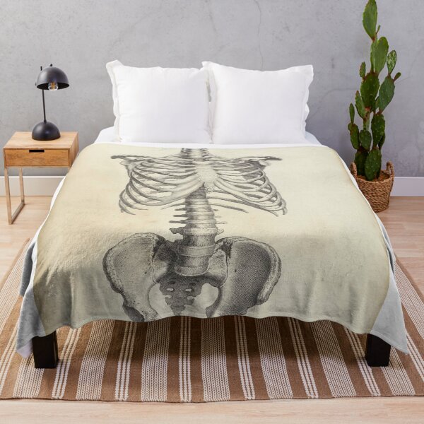 Item preview, human anatomy spinal cord and rib joint | Thoracic Vertebrae and the Rib Cage designed and sold by KARTICK DUTTA.