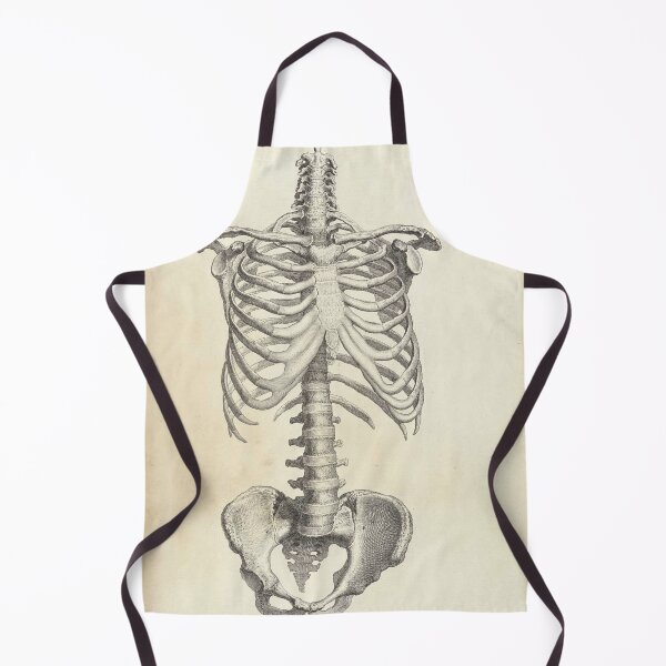 Item preview, human anatomy spinal cord and rib joint | Thoracic Vertebrae and the Rib Cage designed and sold by KARTICK DUTTA.