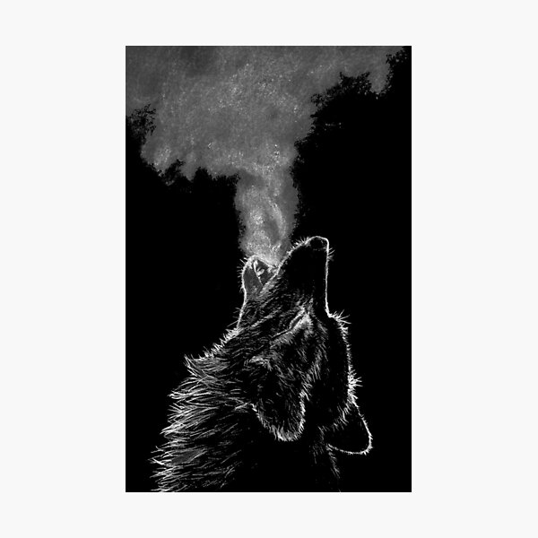 Wolf Photographic Print