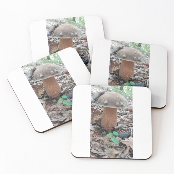 Item preview, Fungus, Hribe,Ciuperci ,Boletus designed and sold by marcelcluj.